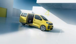  Vivaro